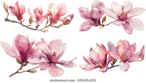 Beautiful pink spring magnolia flowers tree branch watercolor vector illustration isolated on white background with clipping path. Nature background with blossom branch