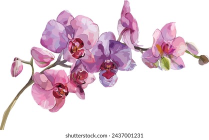 Beautiful pink spring magnolia flowers tree branch watercolor vector illustration isolated on white background with clipping path. Nature background with blossom branch