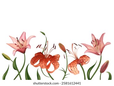 Beautiful pink and tiger lily flowers. Buds. Border. Isolated. Floral background. Bouquet. Green leaves. Set.