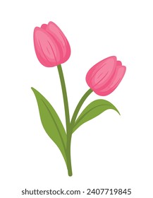 Beautiful pink tulip blossom flowers drawing icon clip art cartoon vector illustration isolated on white background