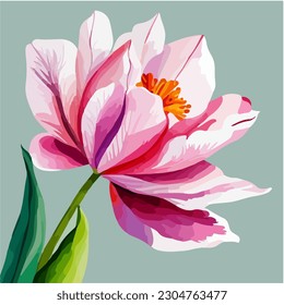 Beautiful pink tulip flower in bloom, watercolor dye painting, vector EPS 10 illustration