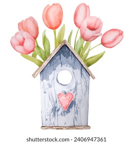 Beautiful pink tulip flowers and wooden bird house watercolor paiting. Spring blossom garden plant aquarelle drawing