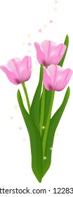 Beautiful pink tulips