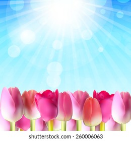 Beautiful Pink Tulips Against Shiny Sky Vector Illustration EPS10 