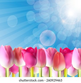 Beautiful Pink Tulips Against Shiny Sky Vector Illustration EPS10