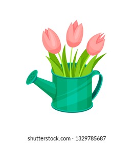 Beautiful pink tulips in green metal watering can. Fresh bouquet of spring flowers. Floral composition. Flat vector