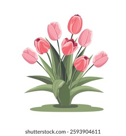 Beautiful pink tulips with lush green leaves. Stylized vector illustration of spring flowers, perfect for greeting cards, floral designs, prints, and nature-themed projects