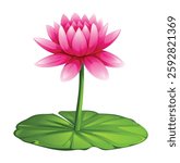 Beautiful pink water lily flower blooming on a lily pad. Vector cartoon illustration isolated on white background