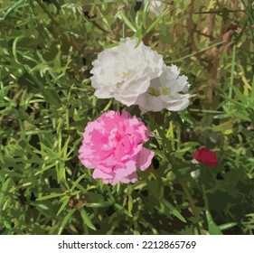 hermosa ilustración de vector de flores rosa y blanco