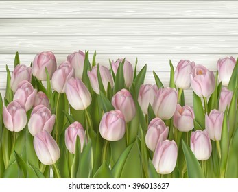 Beautiful pink and white tulips on wooden background. Copy space. EPS 10 vector file included