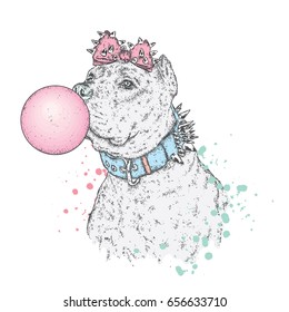 A beautiful pit bull. Vector illustration for a postcard or a poster, print on clothes, a cover or a bag. Bulldog. Purebred Dog.