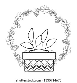 beautiful plant in ceramic pot