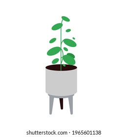 Beautiful plant in green color with pot Vector Illustration