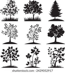 Beautiful plant with leaves silhouette on white background	