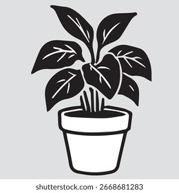 La Hermosa Planta en la Maceta