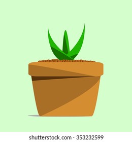 The beautiful of plant pot