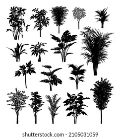 beautiful plants, trees black silhouette drawing
