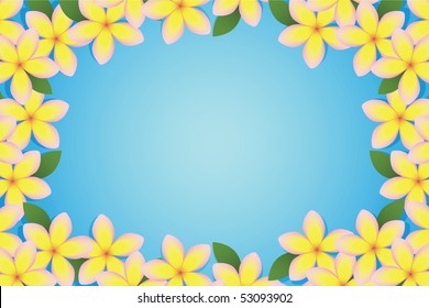 Beautiful plumeria bordering a blue background