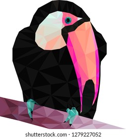 Beautiful polygonal toucan