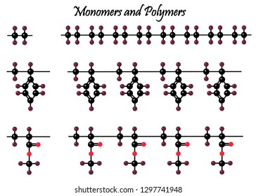 beautiful polymer molecules and their lattices on a white background