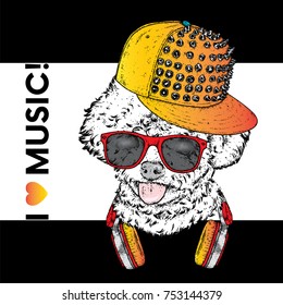 Beautiful poodle in headphones and a cap with spikes. Vector illustration. Stylish thoroughbred puppy. A dog in clothes and accessories.