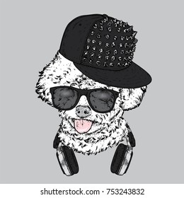 Beautiful poodle in headphones and a cap with spikes. Vector illustration. Stylish thoroughbred puppy. A dog in clothes and accessories.