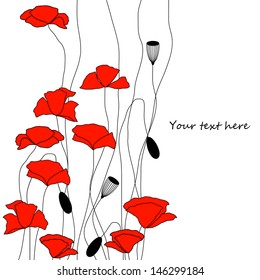 beautiful poppies background