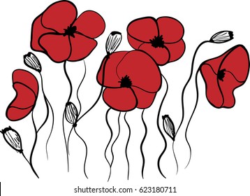 Beautiful poppies, flowers, sketch, vector