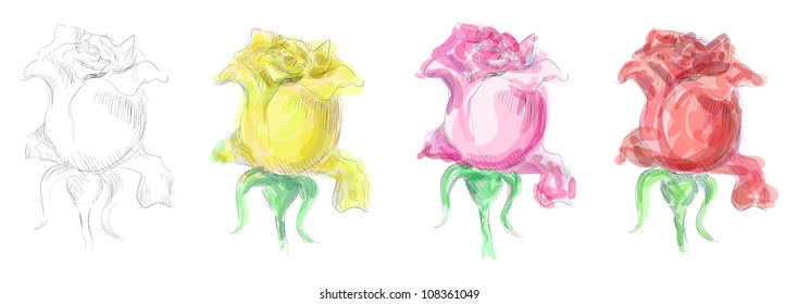 Beautiful poppy sketches set. Eps 10 vector
