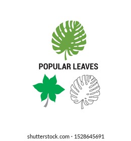 BEAUTIFUL POPULAR LEAF LOGO VECTOR