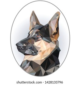  beautiful portrait in oval frame of German shepherd dog in low poly style on white background