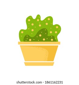 Beautiful potted home indoor plant, garden bush. Vector illustration isolated on white background. Trendy house decor icon. Houseplant with green foliage and yellow berries in pot.
