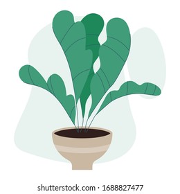 Beautiful pottery plant on white background vector illustration flat design