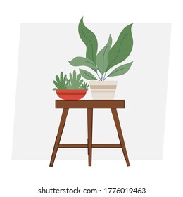 Beautiful pottery plant on white background vector illustration flat design 