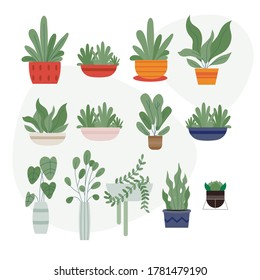 Beautiful pottery plants set on white background vector illustration flat design 