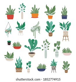 Beautiful pottery plants set on white background vector illustration flat design 