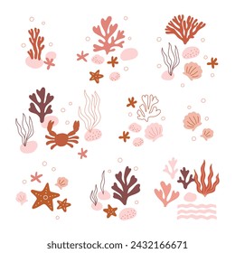 Beautiful pre made compositions set. Natural undersea flora and fauna, sea or ocean life. Undersea species with coral, algae or seaweed, starfish, shells. Flat colorful vector illustration