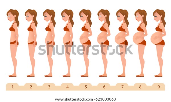 美しい妊婦さん 薬の妊娠インフォグラフィックスのシルエット 毎月の妊娠 ベクターイラスト のベクター画像素材 ロイヤリティフリー