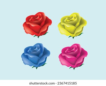 beautiful and pretty different colour rose
