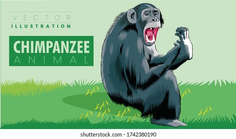 a beautiful primate chimpanzee  vector
