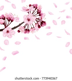 Beautiful print with blossoming dark and light pink sakura flowers. Spring background. Template for invitation card, birthdaycard, banner, beauty, background Vector illustration.