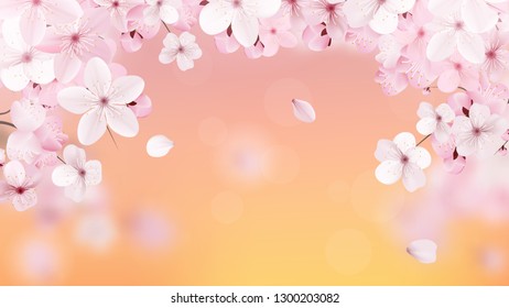 Beautiful print with blossoming light pink sakura flowers and place for text. Cherry on the background of the sunset. Realistic  vector illustration.