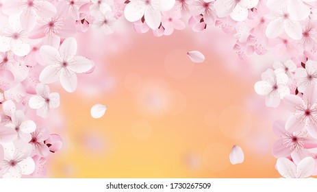 Beautiful print with blossoming light pink sakura flowers