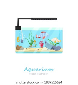 Beautiful prizm rectangular fish tank image. Exotic pet in your house. Editable vector illustration isolated on a white background. Colorful cartoon flat style. Graphic design 