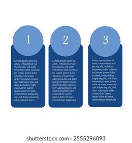 Beautiful and Professional  Infographic Design 
