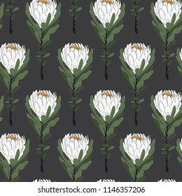 Beautiful protea flowers in seamless pattern vector regular repeat for fashion ,fabric and all prints on dark grey background color