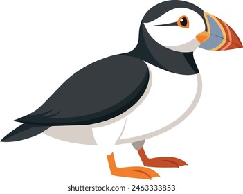 Beautiful puffin bird standing on the ground, vector art illustration