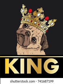 A beautiful pug in the crown. Vector illustration for a postcard or a poster, print for clothes. Dog hipster in clothes. Fashion & Style. Funny puppy.