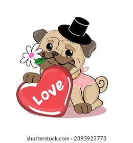 Beautiful pug dog with a heart and a daisy for Valentine's Day on a white isolated background. Vector illustration for Valentine's Day and birthday