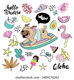 Beautiful pug dog on a surfboard and summer fashion patch badges on white background